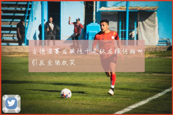 古德温赛后狼性十足狄龙模仿狗叫引发全场欢笑