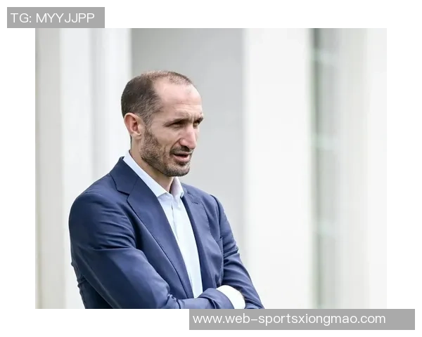 裁判负责人解析国米点球争议认为助理裁判应承担主要责任